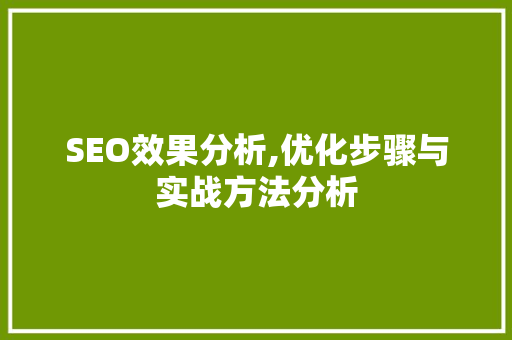 SEO效果分析,优化步骤与实战方法分析