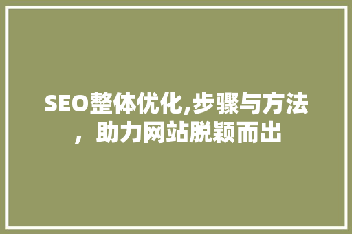 SEO整体优化,步骤与方法，助力网站脱颖而出