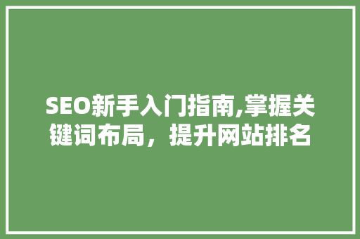 SEO新手入门指南,掌握关键词布局，提升网站排名 WordPress教程