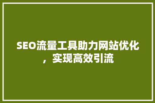 SEO流量工具助力网站优化，实现高效引流