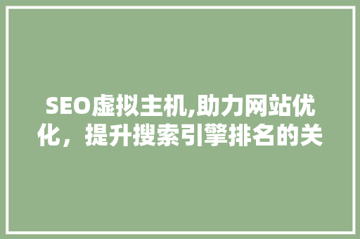 SEO虚拟主机,助力网站优化，提升搜索引擎排名的关键选择