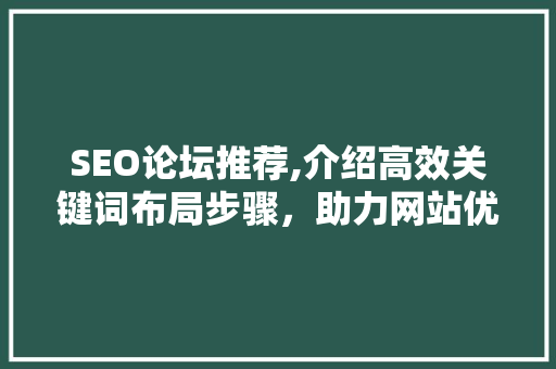 SEO论坛推荐,介绍高效关键词布局步骤，助力网站优化提升