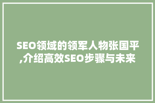 SEO领域的领军人物张国平,介绍高效SEO步骤与未来趋势
