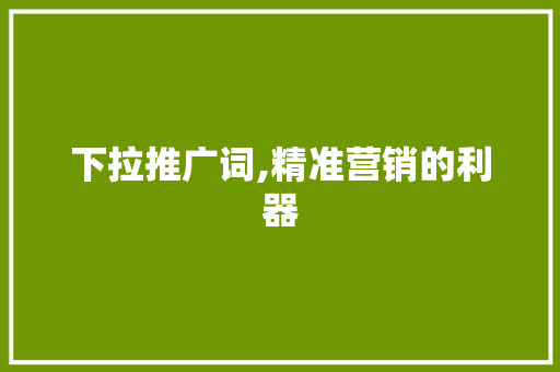 下拉推广词,精准营销的利器