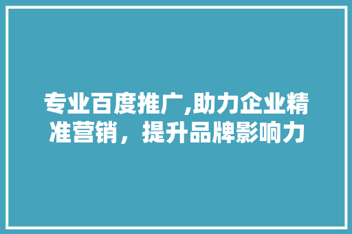 专业百度推广,助力企业精准营销，提升品牌影响力