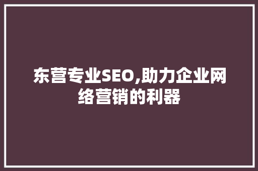 东营专业SEO,助力企业网络营销的利器