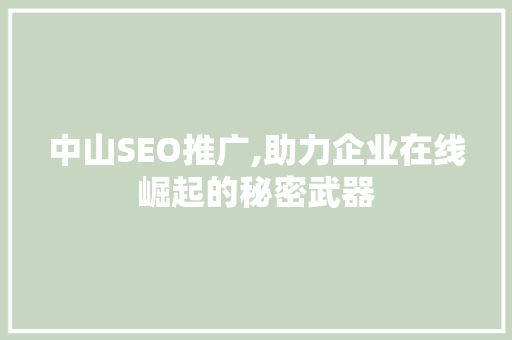 中山SEO推广,助力企业在线崛起的秘密武器