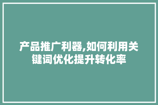 产品推广利器,如何利用关键词优化提升转化率