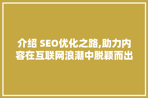 介绍 SEO优化之路,助力内容在互联网浪潮中脱颖而出