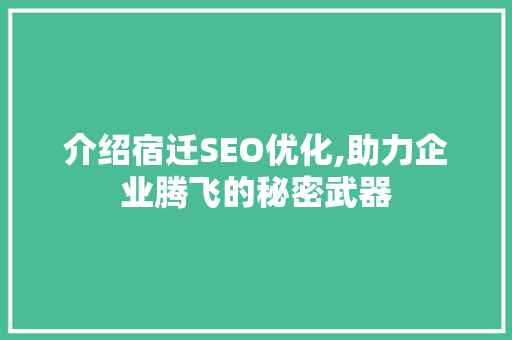 介绍宿迁SEO优化,助力企业腾飞的秘密武器