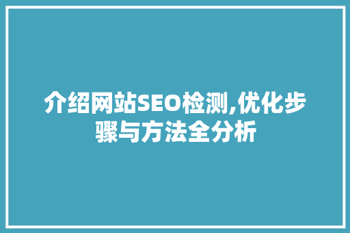 介绍网站SEO检测,优化步骤与方法全分析
