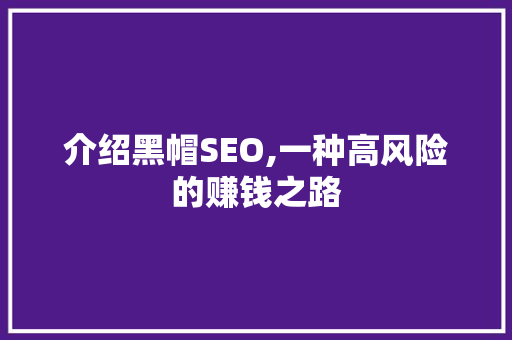 介绍黑帽SEO,一种高风险的赚钱之路