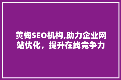 黄梅SEO机构,助力企业网站优化，提升在线竞争力 Web前端