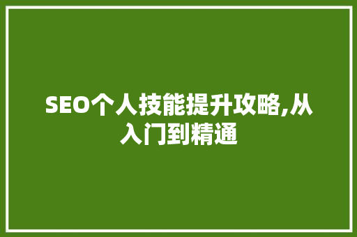 SEO个人技能提升攻略,从入门到精通