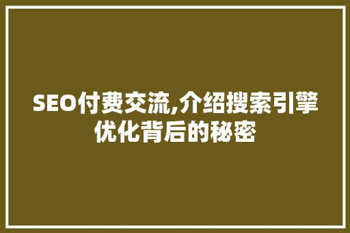 SEO付费交流,介绍搜索引擎优化背后的秘密