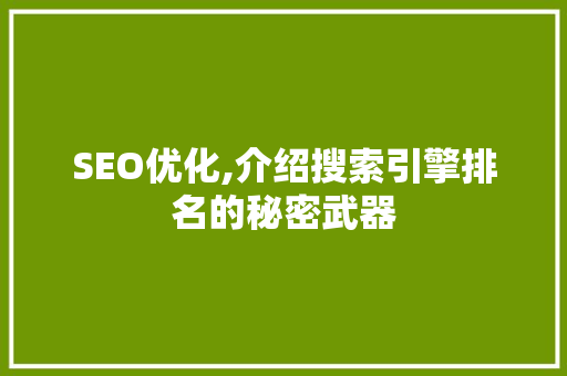 SEO优化,介绍搜索引擎排名的秘密武器