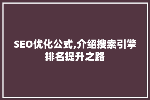 SEO优化公式,介绍搜索引擎排名提升之路