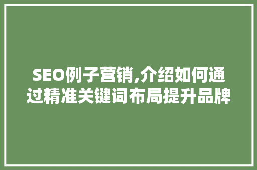 SEO例子营销,介绍如何通过精准关键词布局提升品牌影响力