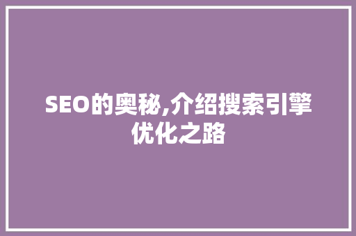 SEO的奥秘,介绍搜索引擎优化之路
