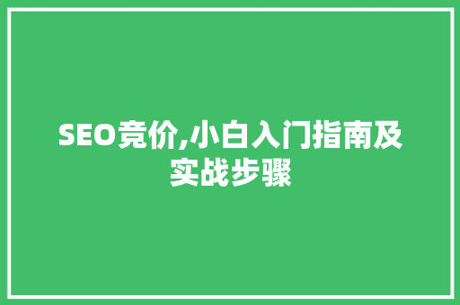 SEO竞价,小白入门指南及实战步骤