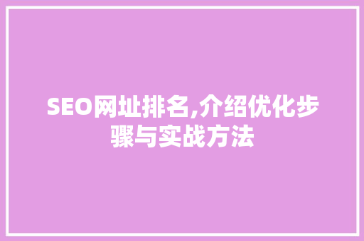 SEO网址排名,介绍优化步骤与实战方法