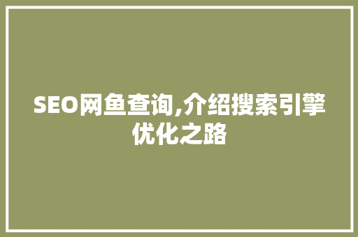 SEO网鱼查询,介绍搜索引擎优化之路