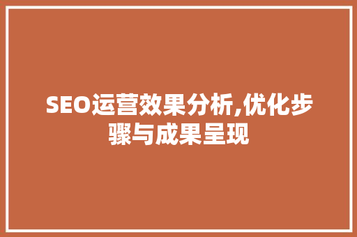 SEO运营效果分析,优化步骤与成果呈现 WordPress教程