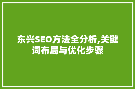 东兴SEO方法全分析,关键词布局与优化步骤
