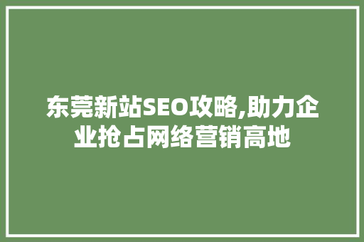 东莞新站SEO攻略,助力企业抢占网络营销高地 建站教程