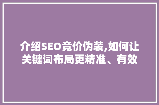 介绍SEO竞价伪装,如何让关键词布局更精准、有效