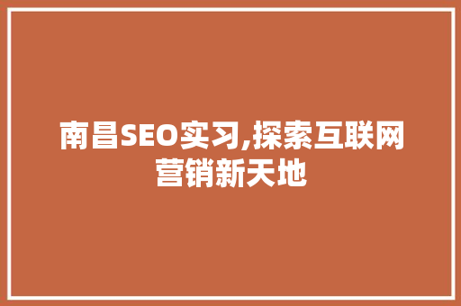 南昌SEO实习,探索互联网营销新天地