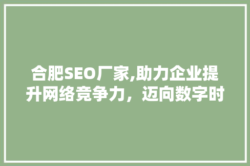 合肥SEO厂家,助力企业提升网络竞争力，迈向数字时代新高峰