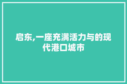 启东,一座充满活力与的现代港口城市