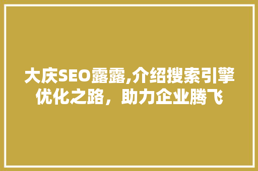 大庆SEO露露,介绍搜索引擎优化之路，助力企业腾飞