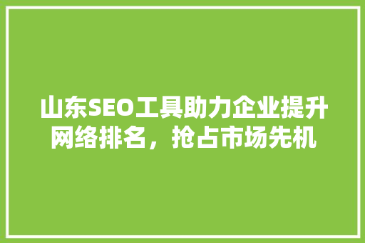山东SEO工具助力企业提升网络排名，抢占市场先机