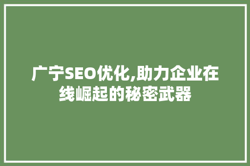 广宁SEO优化,助力企业在线崛起的秘密武器