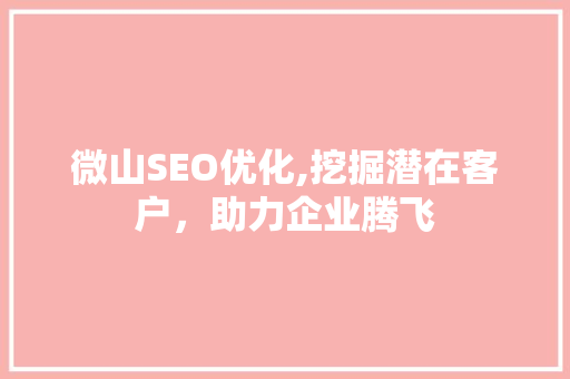 微山SEO优化,挖掘潜在客户，助力企业腾飞