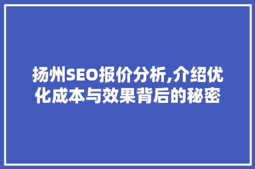扬州SEO报价分析,介绍优化成本与效果背后的秘密
