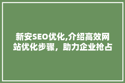 新安SEO优化,介绍高效网站优化步骤，助力企业抢占网络市场