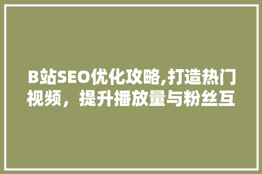 B站SEO优化攻略,打造热门视频，提升播放量与粉丝互动