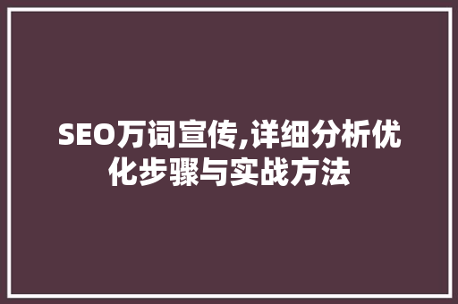 SEO万词宣传,详细分析优化步骤与实战方法