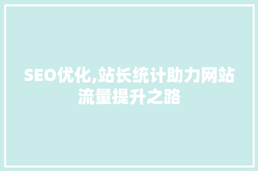 SEO优化,站长统计助力网站流量提升之路