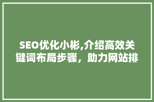 SEO优化小彬,介绍高效关键词布局步骤，助力网站排名跃升 Web前端