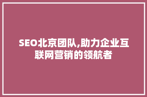 SEO北京团队,助力企业互联网营销的领航者 建站教程