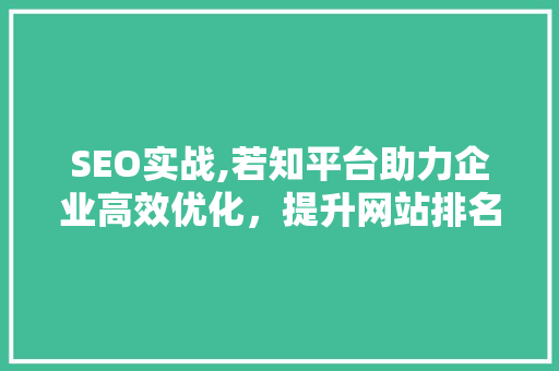 SEO实战,若知平台助力企业高效优化，提升网站排名与流量