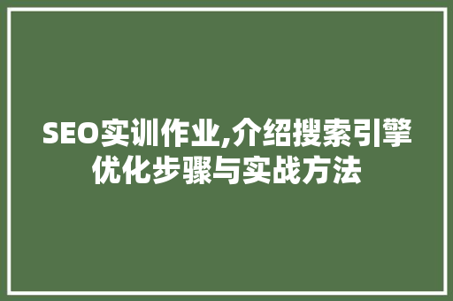 SEO实训作业,介绍搜索引擎优化步骤与实战方法