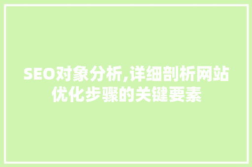 SEO对象分析,详细剖析网站优化步骤的关键要素
