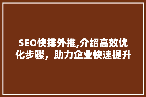 SEO快排外推,介绍高效优化步骤，助力企业快速提升排名 建站教程
