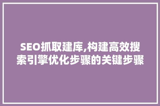 SEO抓取建库,构建高效搜索引擎优化步骤的关键步骤