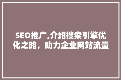 SEO推广,介绍搜索引擎优化之路，助力企业网站流量翻倍
